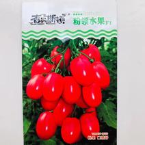 查尔斯顿番茄种子西红柿种子粉岭200粒
