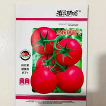 番茄西红柿种子金粉瑞丽1000粒