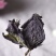 紫苏叶，干货质量保证中药材无杂质，长期有货自产自销