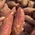 【诚信商家】西瓜红红薯广东红薯加工厂养殖场可签合同