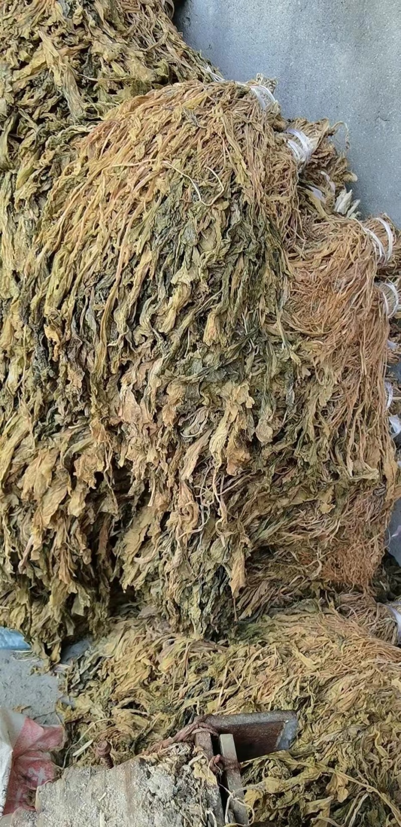 【实力推荐】梅干菜，基地种植，大量有货，省内优先