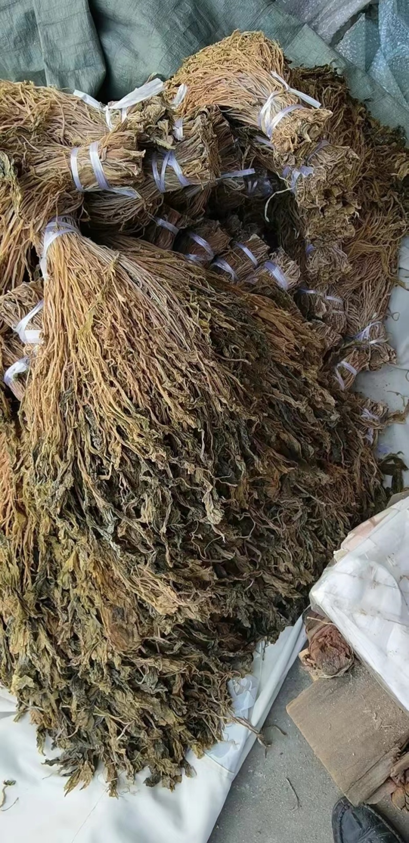 【实力推荐】梅干菜，基地种植，大量有货，省内优先
