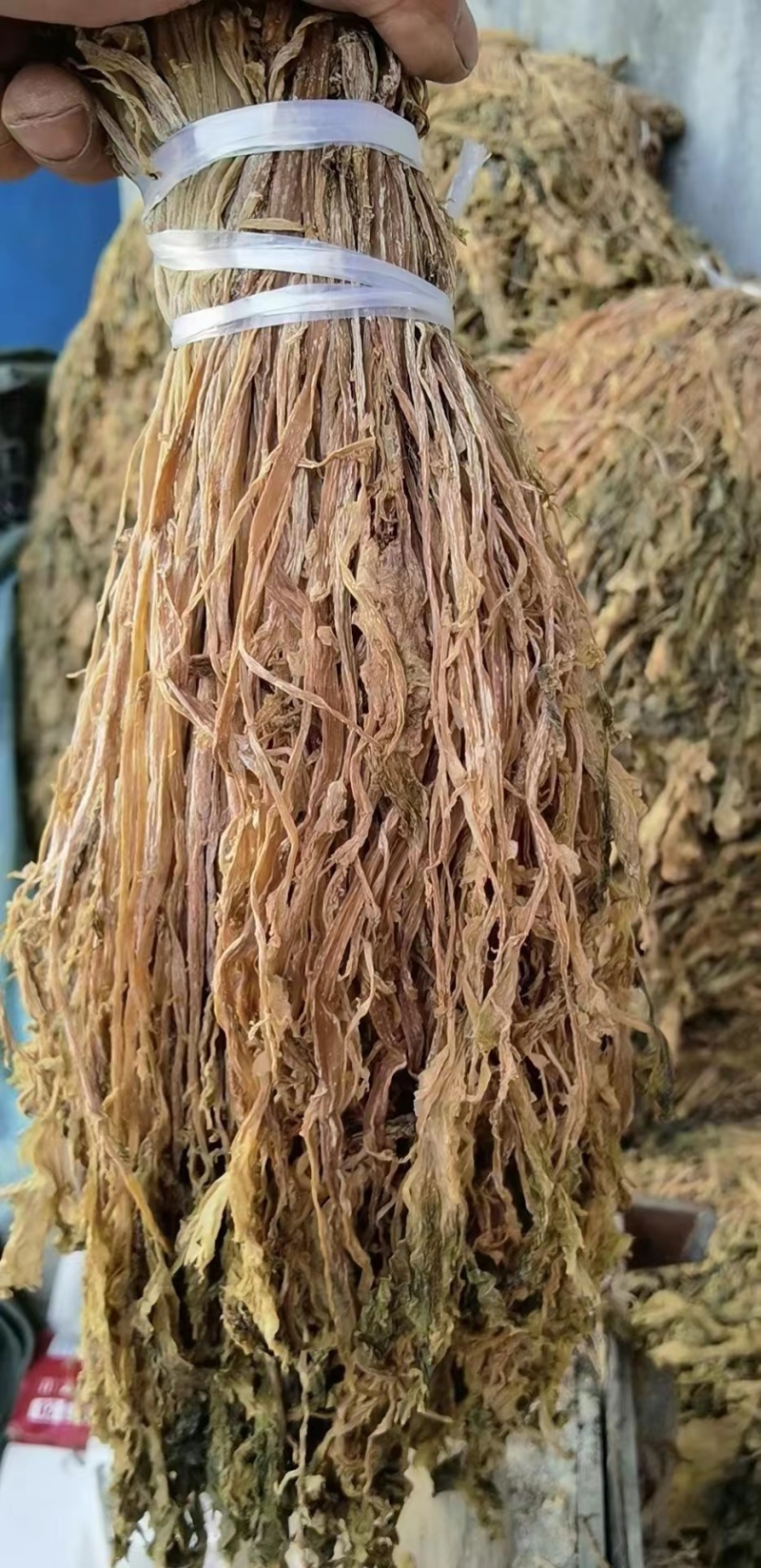 【实力推荐】梅干菜，基地种植，大量有货，省内优先