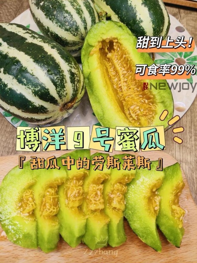 （精品推荐）甜瓜博洋9号代收代发产地直发供应市场电商