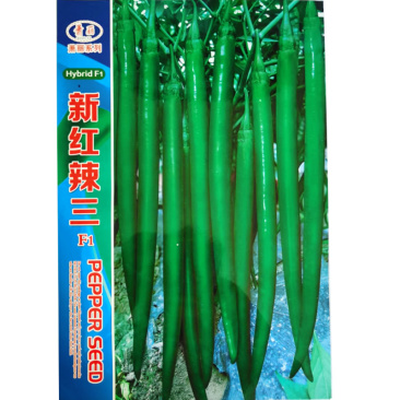 二荆条辣椒种子线椒籽光滑顺直辣味浓连续坐果强
