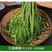 涡阳贡菜，质量可保证，全年有货，量大有优惠，商超电商直销