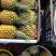 【实力推荐】徐闻菠萝种植基地，大量有货全国供应欢迎来电