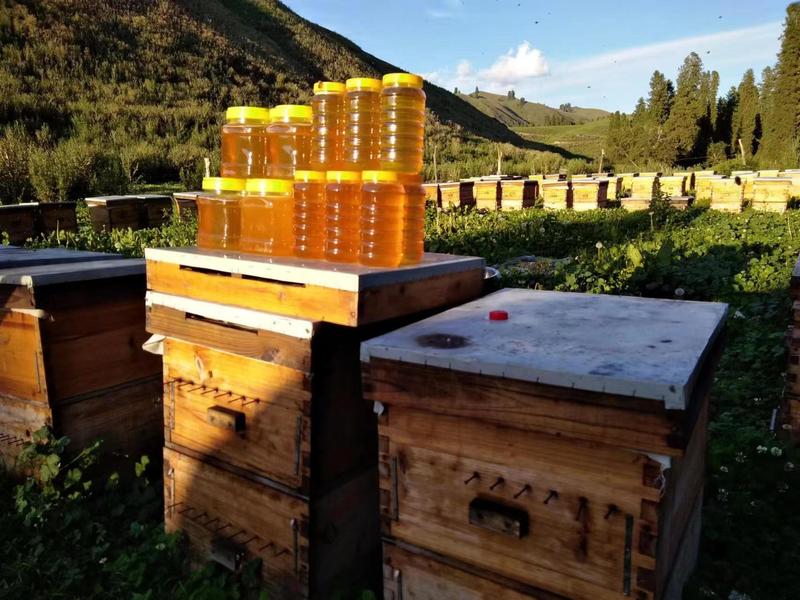 【精品蜂蜜】新疆百花蜜货源充足产地直发价格优惠欢迎咨询