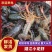潜江清水小龙虾3-4钱4-6钱精品食用活虾纯青虾死亡包赔