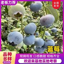 澄江精品蓝莓，零售，价格真实，欢迎大家选购