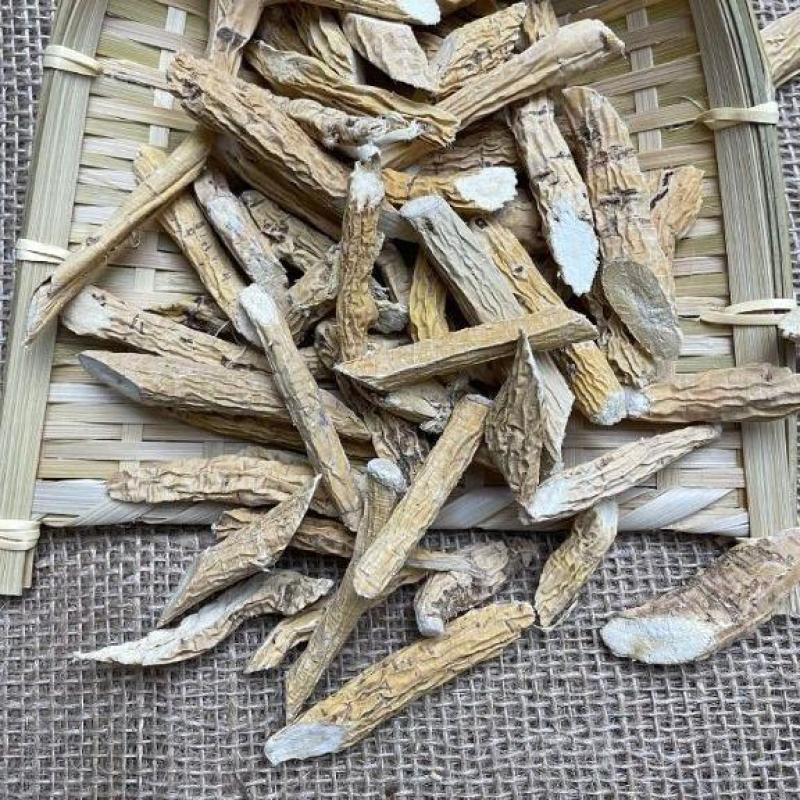 货源充足牛大力批发量大从优欢迎联系诚信经营
