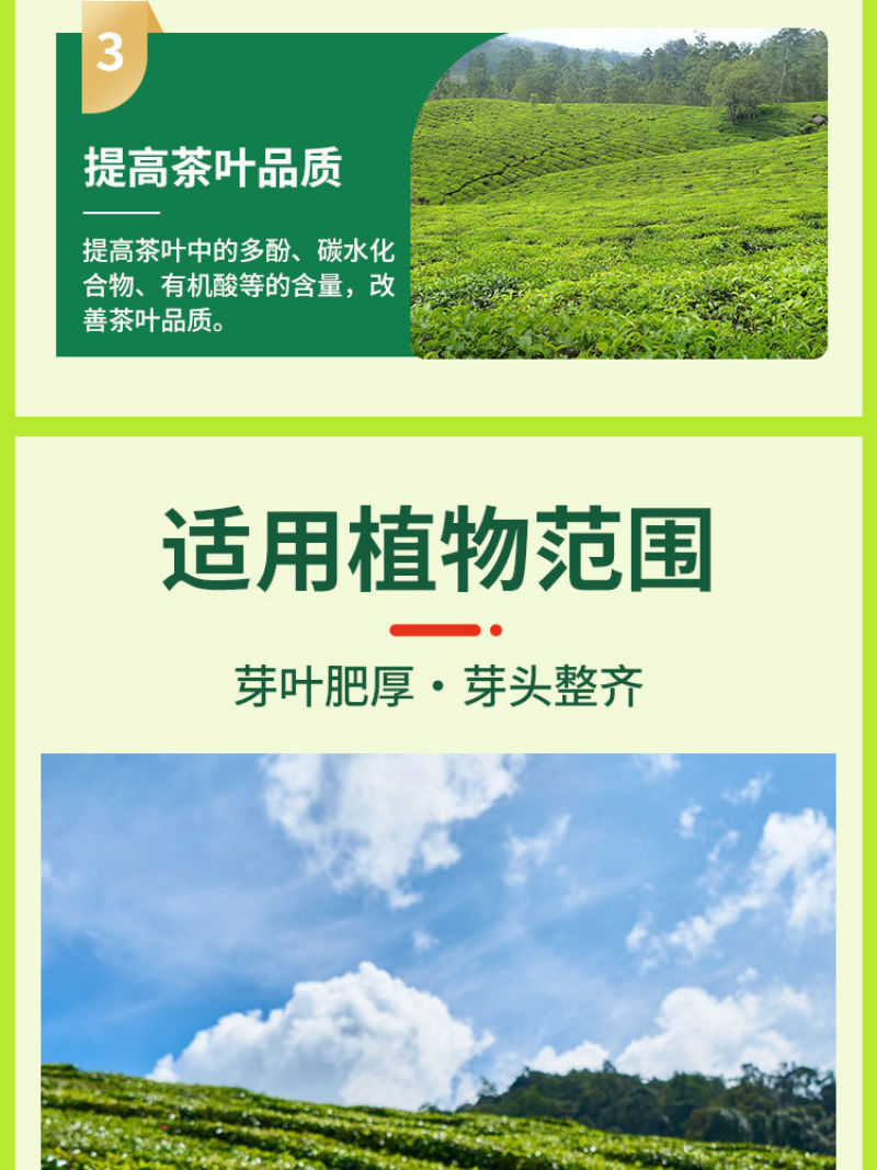 茶叶壮芽素水溶肥催芽防冻抗病抗逆提高品质芽叶肥厚促进根系