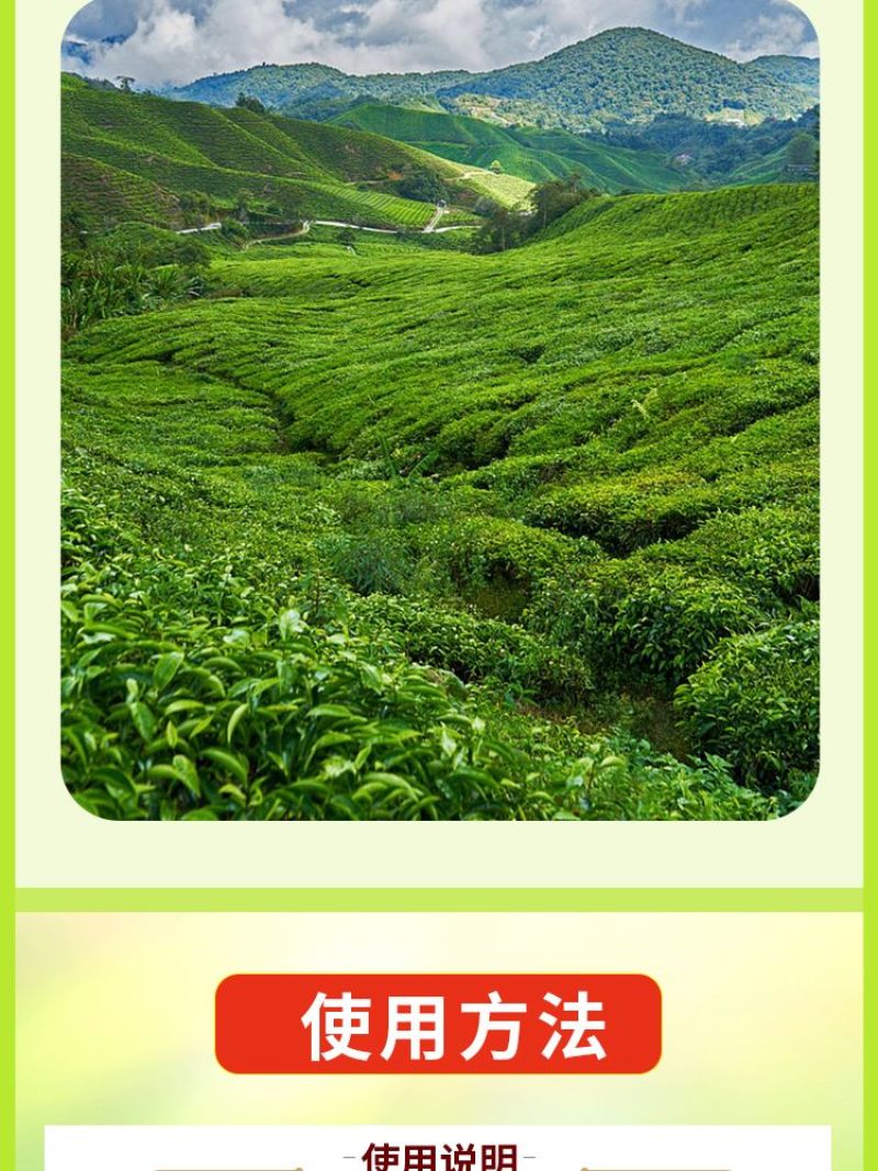 茶叶壮芽素水溶肥催芽防冻抗病抗逆提高品质芽叶肥厚促进根系