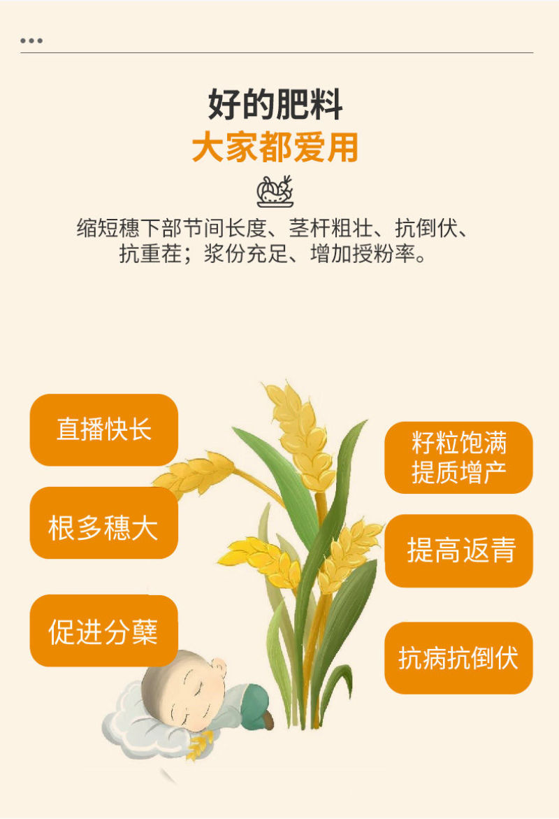 稻黄金水稻专用增产增收肥生根壮苗返青快促分蘖灌浆专用水溶