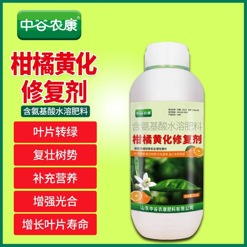 柑橘黄化修复黄叶变绿增强光合柑橘缺素生理性黄叶果园果树橘