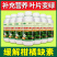 柑橘黄化修复黄叶变绿增强光合柑橘缺素生理性黄叶果园果树橘