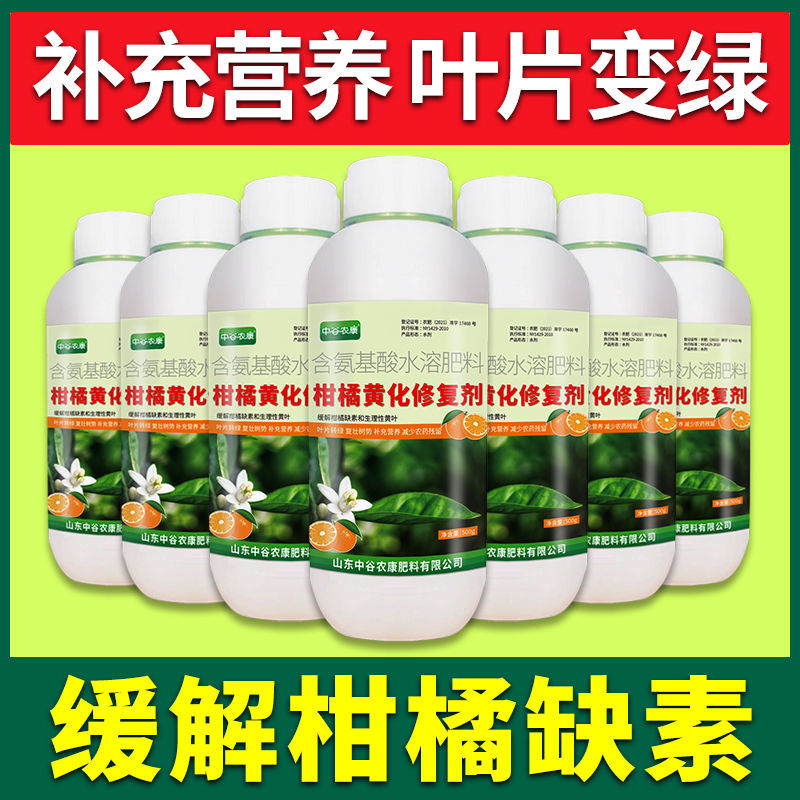 柑橘黄化修复黄叶变绿增强光合柑橘缺素生理性黄叶果园果树橘