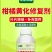柑橘黄化修复黄叶变绿增强光合柑橘缺素生理性黄叶果园果树橘