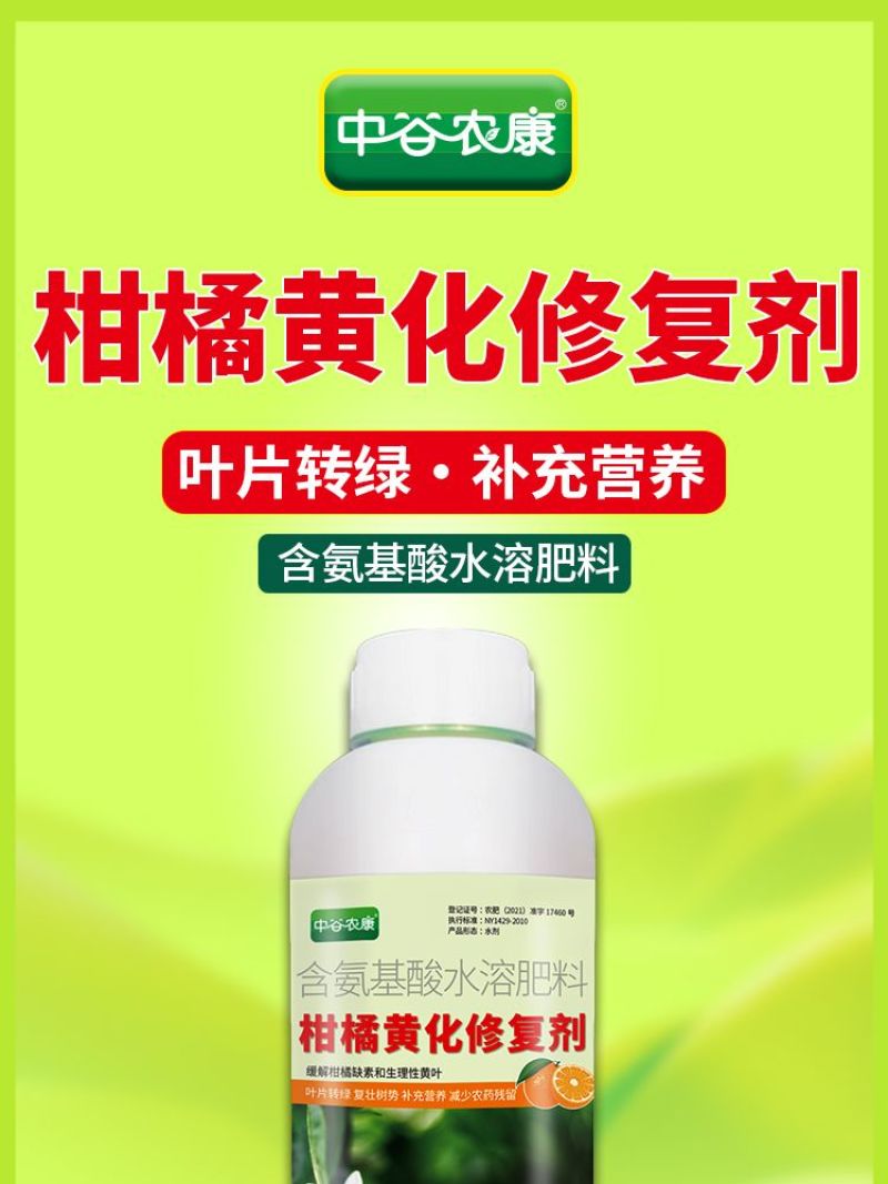 柑橘黄化修复黄叶变绿增强光合柑橘缺素生理性黄叶果园果树橘