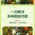 柑橘黄化修复黄叶变绿增强光合柑橘缺素生理性黄叶果园果树橘