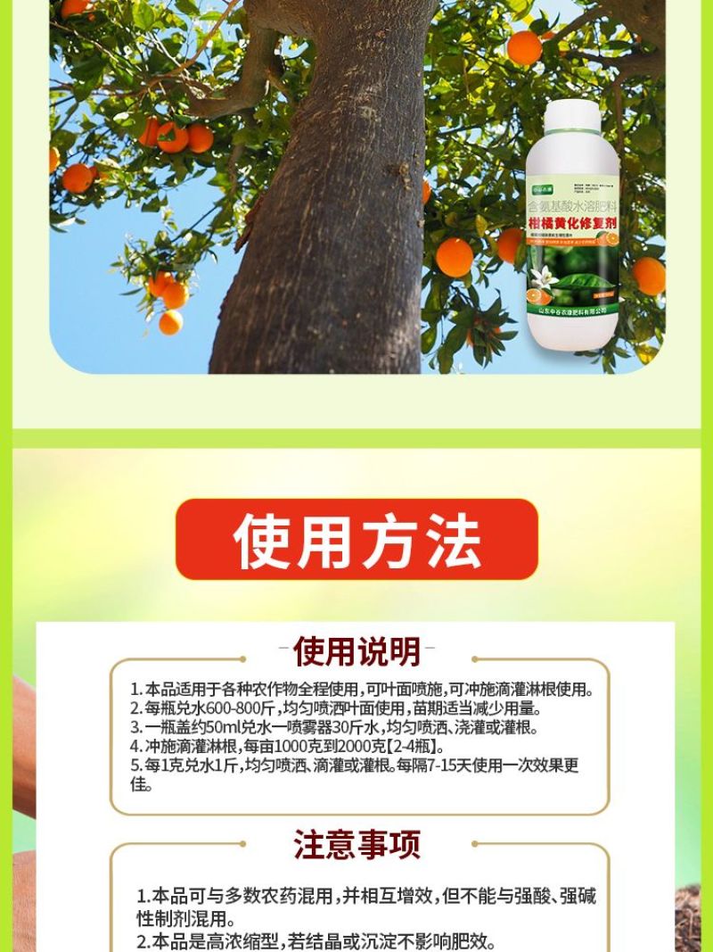 柑橘黄化修复黄叶变绿增强光合柑橘缺素生理性黄叶果园果树橘