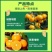 柑橘增甜上色膨大剂美果增色着色剂膨大素保花保果柑橘果树叶