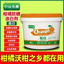 橘美柑橘防晒涂白剂预防太阳果补钙防病防虫害