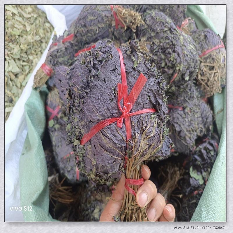 超高性价比无杂质紫苏叶24小时在线服务新鲜直供