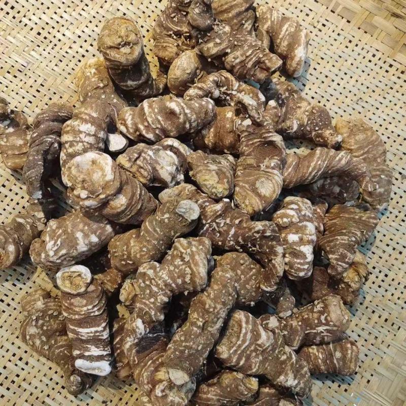 营养丰富正品重楼新鲜采摘随时有货