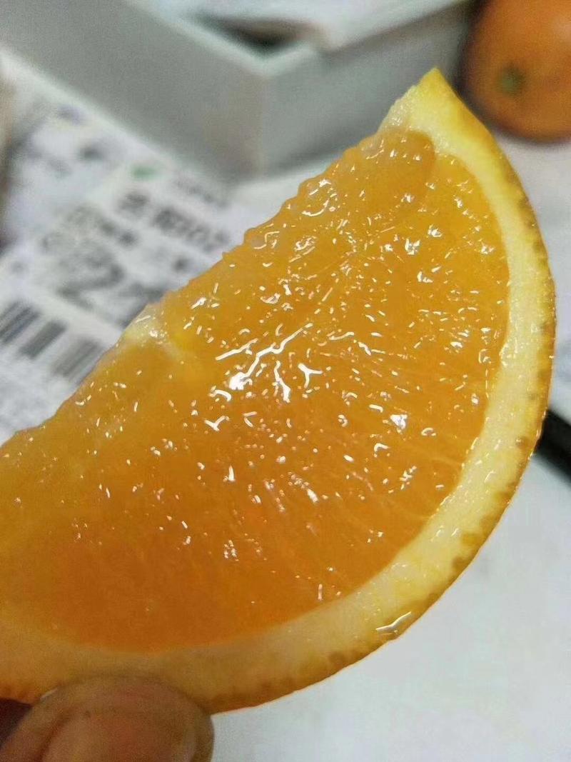 秭归伦晚脐橙湖北橙子现摘现发纯甜多汁对接全国市场