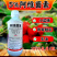 5%阿维菌素乳油甘蓝小菜蛾杀虫广蔬菜果树杀虫剂