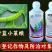 5%阿维菌素乳油甘蓝小菜蛾杀虫广蔬菜果树杀虫剂