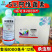 5%阿维菌素小菜蛾杂虫正品胃毒触杀杀虫剂