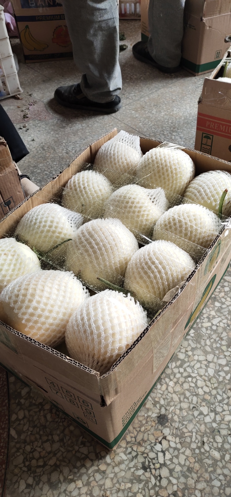 薄皮甜瓜，白玉香瓜量大质优，价格优惠，欢迎采购