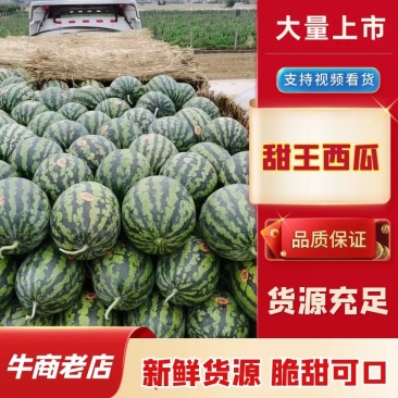 甜甜的无籽甜王西瓜头茬大棚瓜口感甜糖度13个个头大