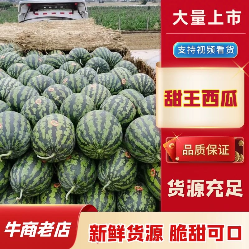 [甜王西瓜批发]山东德州禹城市西瓜 0.55元/斤甜度13 甜王 _ 一亩田