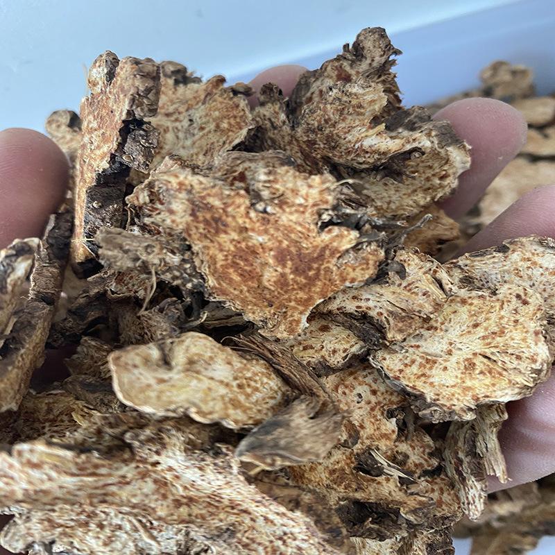 野生苍术源头产地大量发货