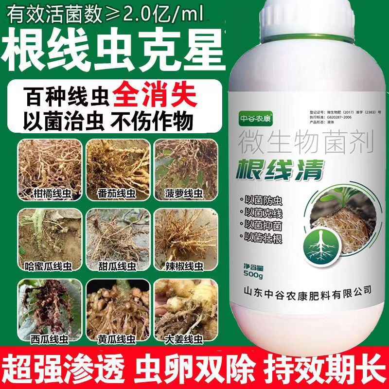根线清专用线虫紫孢菌大棚菌根根结根瘤淡紫青霉紫孢地下