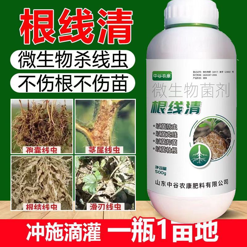 根线清专用线虫紫孢菌大棚菌根根结根瘤淡紫青霉紫孢地下