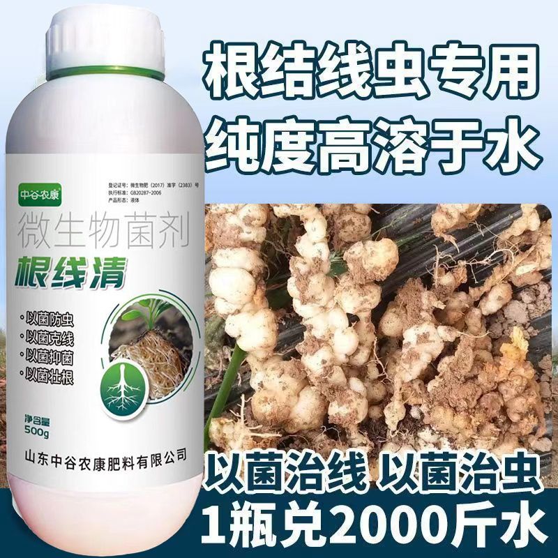 根线清专用线虫紫孢菌大棚菌根根结根瘤淡紫青霉紫孢地下