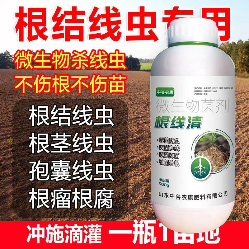 根线清专用线虫紫孢菌大棚菌根根结根瘤淡紫青霉紫孢地下