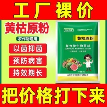 正品黄枯原粉复合微生物菌剂新型杀菌剂叶面肥枯萎立枯炭疽根