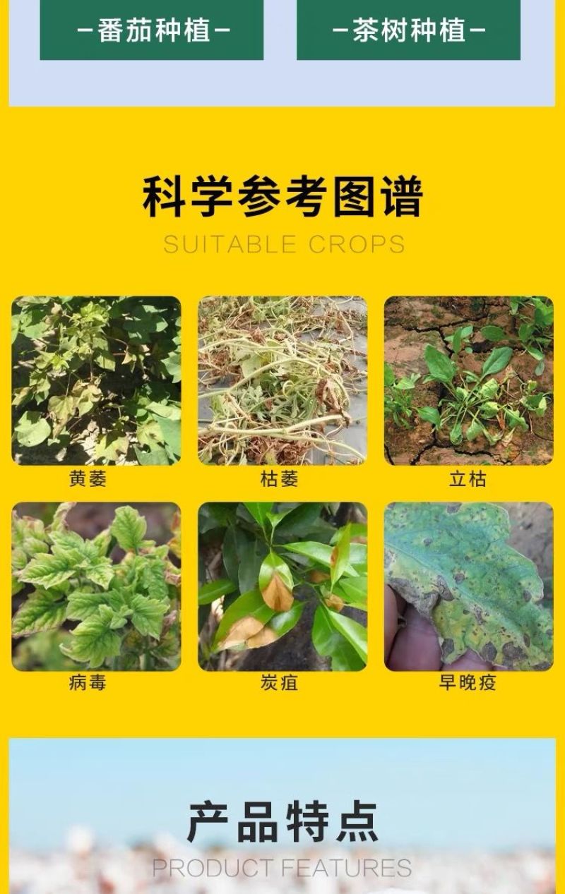 正品黄枯原粉复合微生物菌剂新型杀菌剂叶面肥枯萎立枯炭疽根