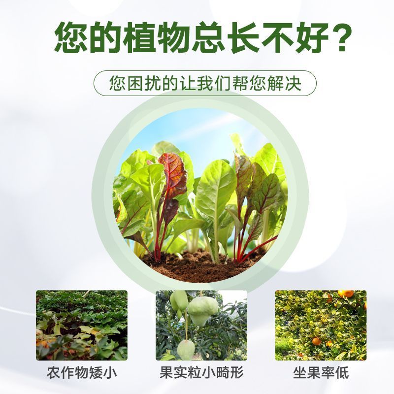 正品颗粒硼缓释肥农用迅猛补硼保花保果提高坐果蔬菜果树基底