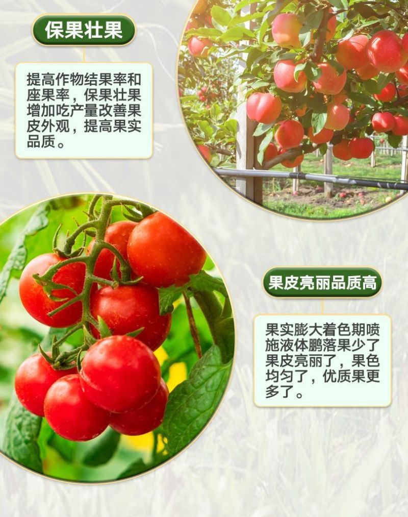 正品颗粒硼缓释肥农用迅猛补硼保花保果提高坐果蔬菜果树基底