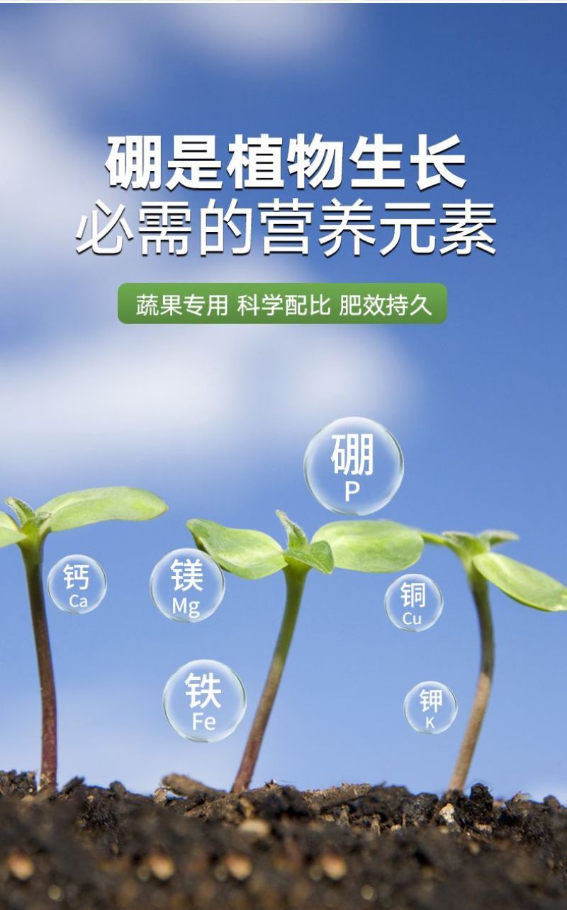 正品颗粒硼缓释肥农用迅猛补硼保花保果提高坐果蔬菜果树基底