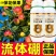 流体硼叶面肥农用保花保果增加产量瓜果花芽分化正品快速补硼