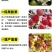 流体硼叶面肥农用保花保果增加产量瓜果花芽分化正品快速补硼