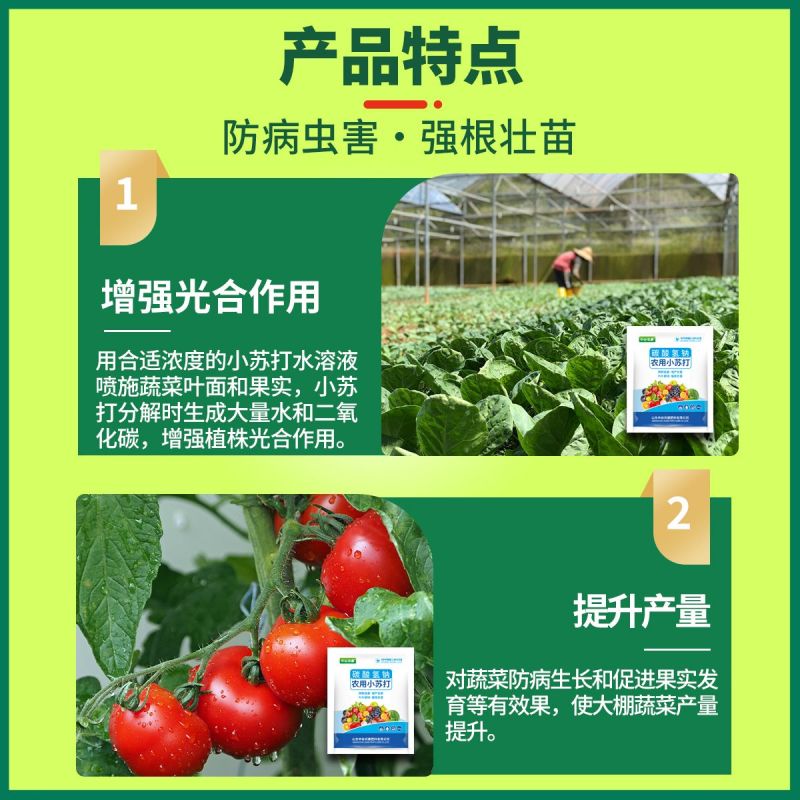 农用小苏打碳酸氢氢钠蔬菜增产壮苗除虫除菌农药残留作物预防