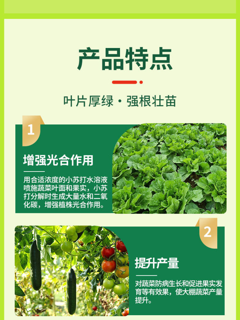 农用小苏打碳酸氢氢钠蔬菜增产壮苗除虫除菌农药残留作物预防